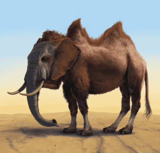 Camelephant Wall Mural