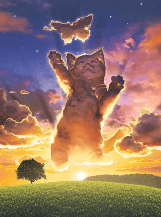 Cloud Kitten Sunset Wall Mural