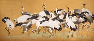 Crane Birds Wall Mural