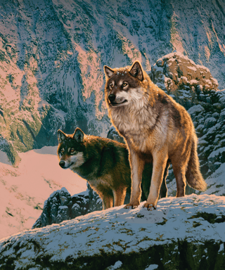 Wolf Couple in Sunset Wall Mural