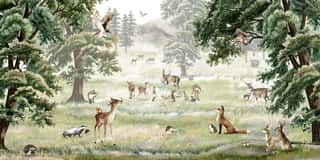 Forest Fun Wall Mural