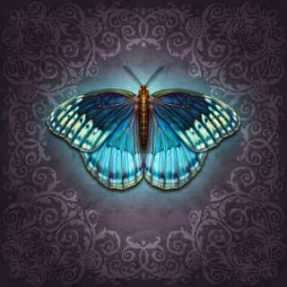 Teal Butterfly Wall Mural