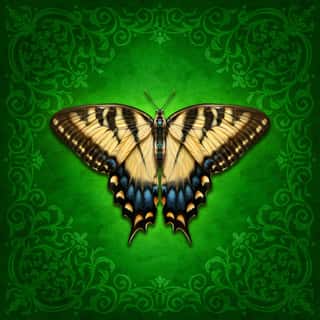 Yellow Swallowtail Butterfly Wall Mural