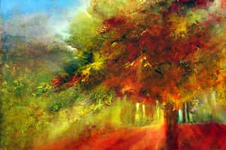Autumn Colorful Trees Wall Mural