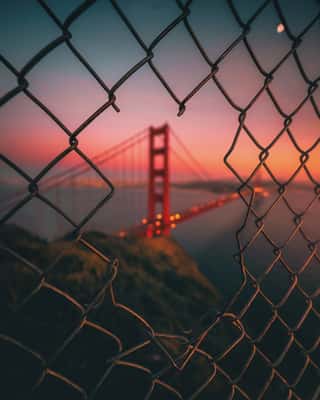 Golden Gate Caged Wall Mural
