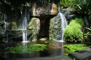 Hidden Waterfall with Pond Wall Mural