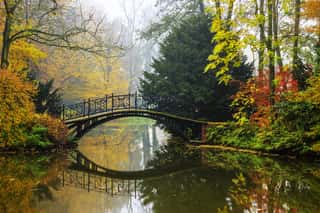 Scenic View Of Misty Autumn Landscape With Beautiful Old Bridge In The Garden With Red Maple Foliage  Wall Mural