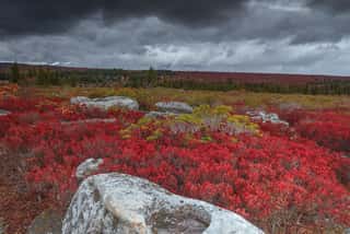 Storm Over Bear Rocks Preserve at Dolly Sods 1 Wall Mural