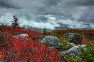 Storm Over Bear Rocks Preserve at Dolly Sods 2 Wall Mural
