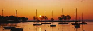 Silhouette Of Sailboats In A Lake, Lake Michigan, Chicago, Illinois, USA Wall Mural