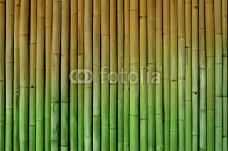Bamboo Fence Background Halftone Green And Yellow Wall Mural