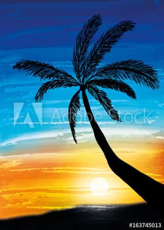 Palm On The Sunset Wall Mural