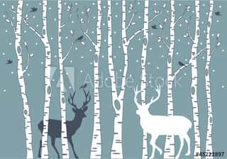 Birch Trees With Deer, Vector Background Wall Mural