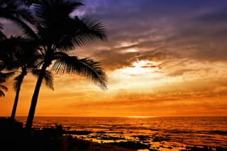 Hawaiian Sunset With Tropical Palm Tree Silhouettes Wall Mural