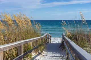 Beach Boardwalk With Dunes And Sea Oats Wall Mural