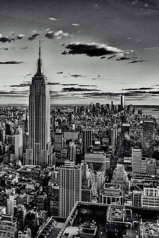 New York City in Grayscale Wall Mural