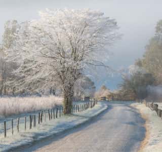 A Frosty Morning Wall Mural
