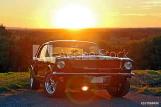 Ford Mustang 1966 Wall Mural