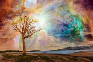 Alien Planet Fantasy Landscape  Tree Standing Near Lake With Bright Galaxy And Stars Shining In The Sky  Elements Of This Image Are Furnished By NASA Wall Mural