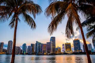 Miami, Florida Skyline And Bay At Sunset Seen Through Palm Trees  Wall Mural