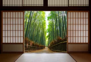 Travel Background Of Japanese Rice Paper Doors Opened To A Peaceful Bamboo Forest Path Wall Mural