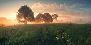 Colorful Spring Sunrise On Meadow Wall Mural