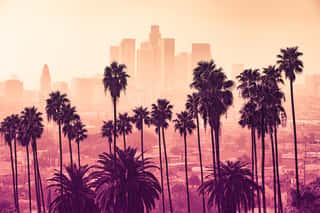 Los Angeles Skyline With Palm Trees In The Foreground Wall Mural