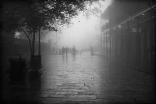 New Orleans In The Fog In Black And White Wall Mural