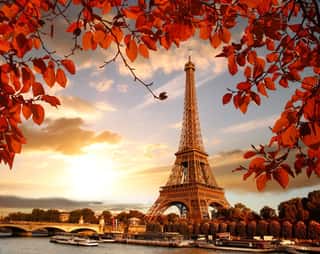 Eiffel Tower With Autumn Leaves In Paris, France Wall Mural