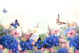 Amazing Background With Hydrangeas And Daisies  Yellow And Blue Flowers On A White Blank  Floral Card Nature  Bokeh Butterflies  Wall Mural