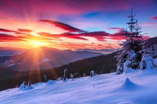 Majestic Sunrise In The  Winter Mountains  Dramatic Morning Sky  View Of Snow-covered  Trees And  Hills At Distance  Wall Mural
