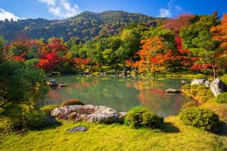Autumn At Zen Garden Of The Tenryu-ji Temple In Arashiyama, Japan  Wall Mural