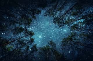 Beautiful Night Sky, The Milky Way And The Trees  Elements Of This Image Furnished By NASA  Wall Mural