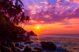 Palm Tress On Tropical Coast At Sunset Wall Mural