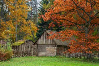 Vintage, Rustic House In The Autumn Mist  View Of The Patio Of Farm  The Open Air Museum In Tallinn  Historical Landmark Of Estonia  The Old Medieval Architecture Of Estonia  Wall Mural