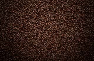 Texture Of Coffee Beans Wall Mural