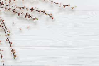 Blossom Branches On A White Wooden Background  Spring Baner  Wall Mural