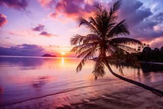 Beautiful Bright Sunset On A Tropical Paradise Beach Wall Mural