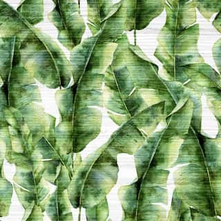 Watercolor Pattern With Banana Palm Leaves  Hand Painted Exotic Greenery Branch  Tropic Plant Isolated On White Background  Botanical Illustration  For Design, Print Or Background Wall Mural