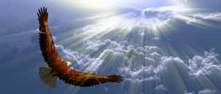 Eagle In Flight Above Tyhe Clouds   Wall Mural
