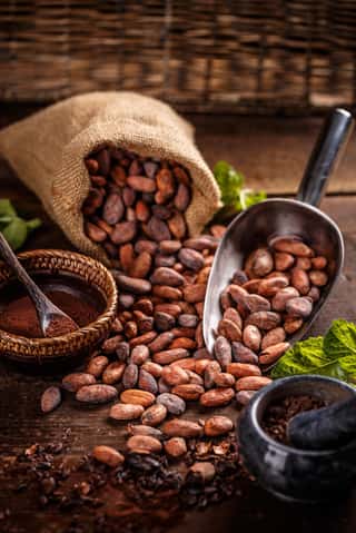 Still Life Of Cocoa Beans Wall Mural