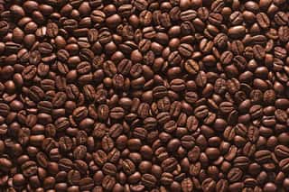 Roasted Coffee Beans On A Flat Background  Wall Mural