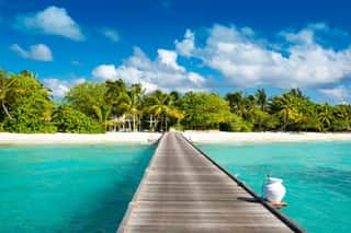 Wooden Bridge To Beautiful Sandy Beach Under The Shade Of Palms And Tropical Plants, Maldives Wall Mural