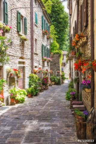 Narrow Old Street With Flowers In Italy Wall Mural