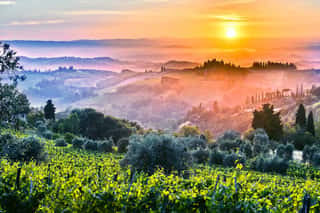 Landscape View Of Tuscany, Italy During Sunrise Wall Mural