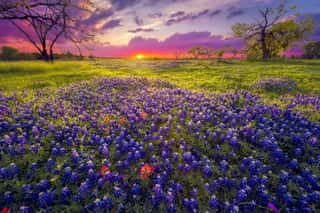 Sunrise In The Texas Hill Country Wall Mural