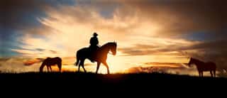 A Silhouette Of A Cowboy And Horse At Sunset Wall Mural