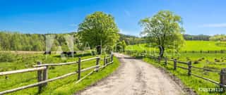 Countryside Landscape, Farm Field And Grass With Grazing Cows On Pasture In Rural Scenery With Country Road, Panoramic View Wall Mural