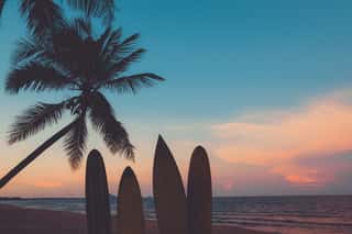 Silhouette Surfboard On Tropical Beach At Sunset In Summer Vintage Color Tone Wall Mural