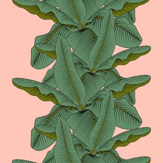 Exotic Banana Leaf On A Light Pink Background  Print Summer Seamless Vector Pattern Wallpaper In Trend Colors     Wall Mural